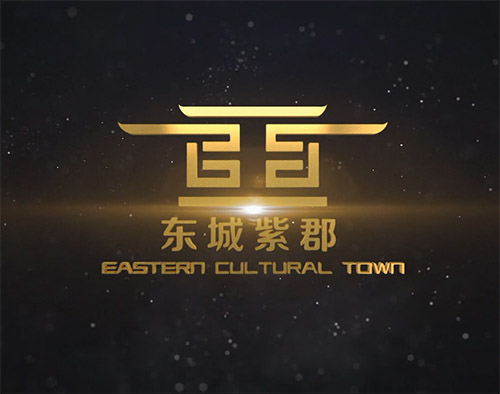 泰安寧陽東城紫郡房地產(chǎn)宣傳片制作